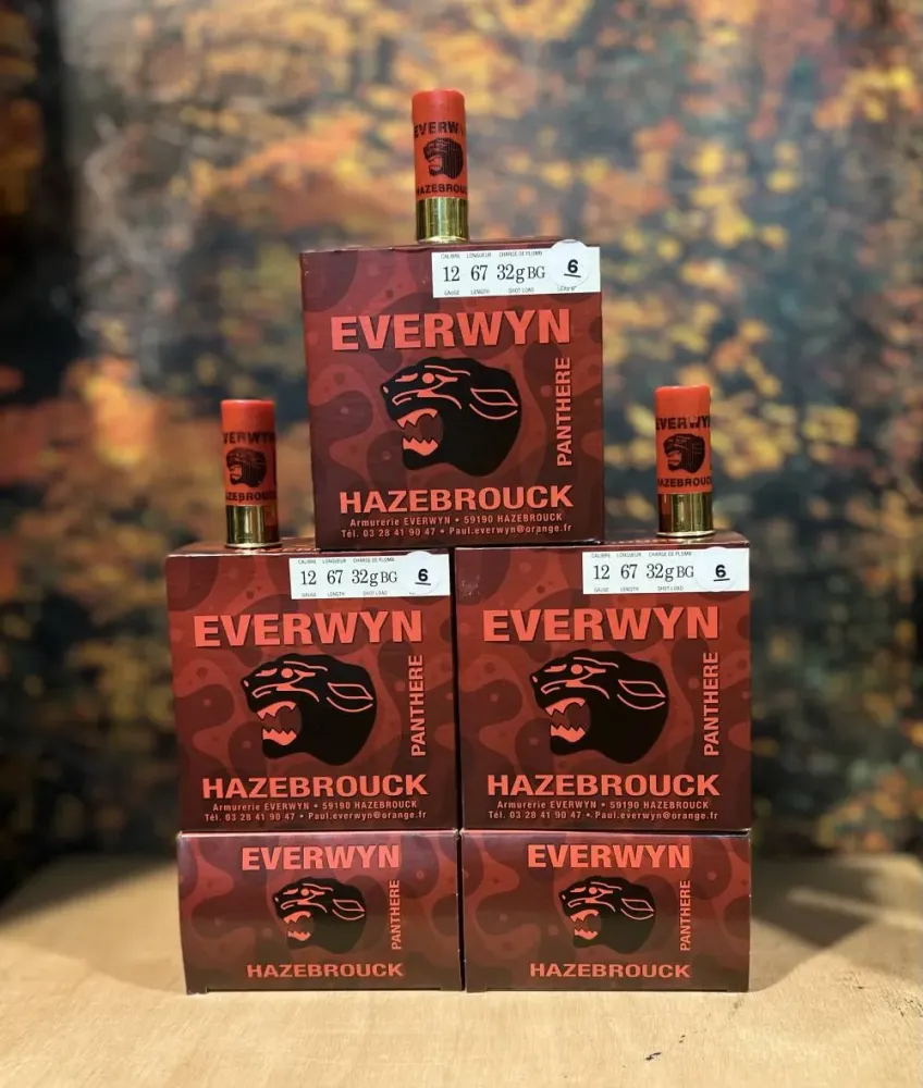 Cartouches Everwyn calibre 12